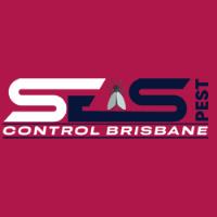 Termite Control Brisbane image 3