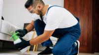 MAX Pest Control Adelaide image 2