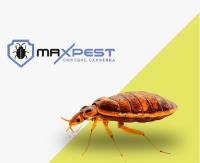 MAX Bed Bug Control Canberra image 1