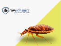 MAX Bed Bug Control Brisbane image 1