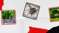 Massey Pest Control Melbourne image 2