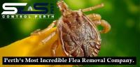 SES Flea Control Perth image 8