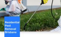 Fast Pest Control Brisbane image 5