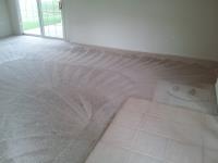 Pro Carpet Cleaning Melbourne image 30