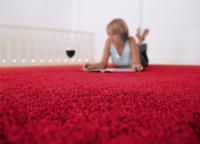 Pro Carpet Cleaning Melbourne image 38