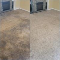 Carpet Cleaning Waterloo image 4