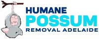 Humane Possum Removal Adelaide image 2