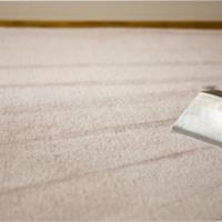 Wow Carpet Cleaning Brisbane image 27