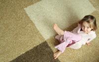 Wow Carpet Cleaning Brisbane image 31