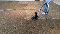 Wow Carpet Cleaning Brisbane image 33