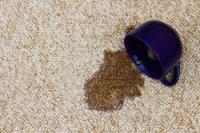 Wow Carpet Cleaning Brisbane image 61