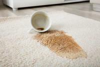 Wow Carpet Cleaning Brisbane image 74