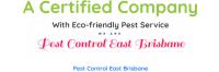 Pest Control East Brisbane image 2