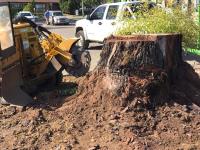 NSW Tree Works image 1