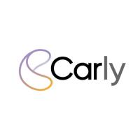 Carly.co image 1