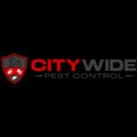 City Wide Pest Control Melbourne image 1