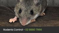 Eco Pest Control Sydney image 12