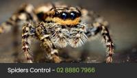 Eco Pest Control Sydney image 22