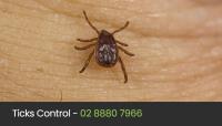 Eco Pest Control Sydney image 46