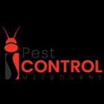 I Moth Control Melbourne image 1