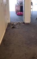 711 Carpet Repair Sydney image 9