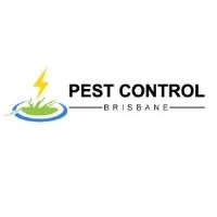 Termite Control Brisbane image 2