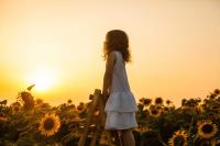 Sunflowers & Butterflies image 9