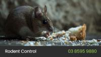 Eco Pest Control Melbourne image 4