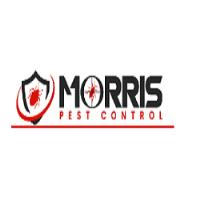 Morris Possum Removal Melbourne image 1