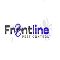 Frontline Wasp Removal Sydney image 2