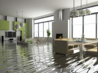 Flood Damage Restoration Braddon image 1