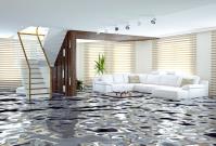 Flood Damage Restoration Gungahlin image 4