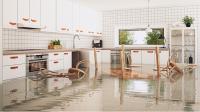 Flood Damage Restoration Maylands image 2