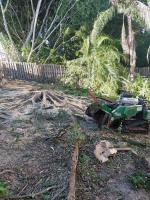 Gold Coast Stump Busters image 1