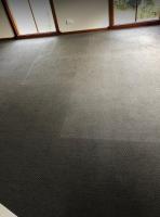 Toms Carpet Cleaning Sandringham image 4