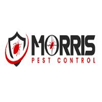 Morris Bee Removal Brisbane image 3