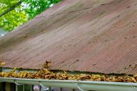 Sunshine Coast Roofing image 8