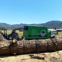 O'Briens Tree Services image 16