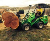 O'Briens Tree Services image 15