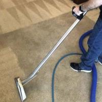 711 Carpet Cleaning Brookvale image 2