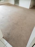 Micks Carpet Cleaning Sydney image 5