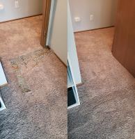 Melbourne Carpet Repair image 2