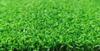 Artificial Grass Brisbane image 1