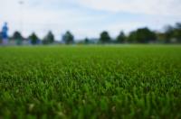 Artificial Grass Brisbane image 3