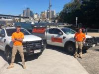 Killmore Pest Control Services Sydney image 2