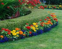 GLENN SCAPE HORTICULTURE PTY LTD image 2