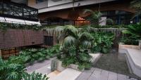 Martin Brothers | Landscape Design Brisbane image 2