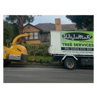 Wajamar Tree Services image 2