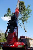 Aura Tree Services image 3