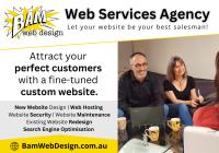 BAM Web Design image 1